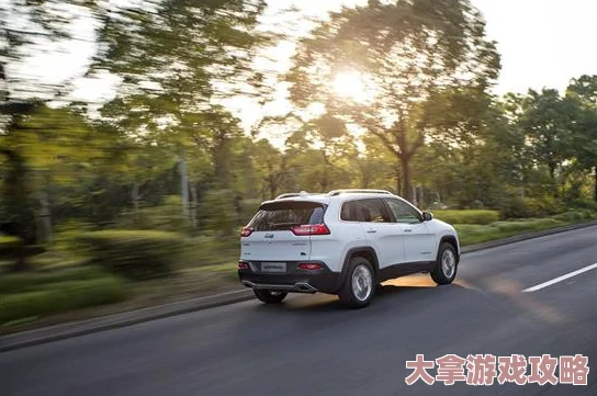 497799欧洲版的国产SUV：分析其市场定位、技术特点及与竞争对手的比较研究